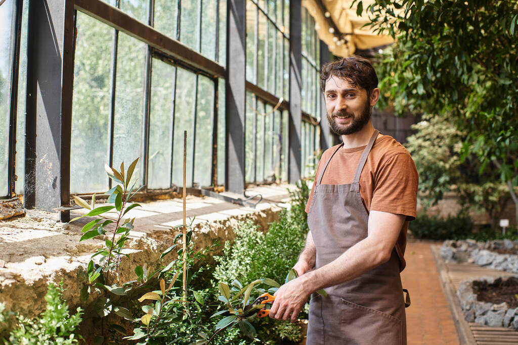 handsome and happy gardener in linen apron cutting branches of plants with secateurs in greenhouse - Photo, Image