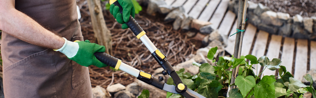 cropped banner of gardener in gloves cutting branch on tree with big secateurs in greenhouse - Photo, Image