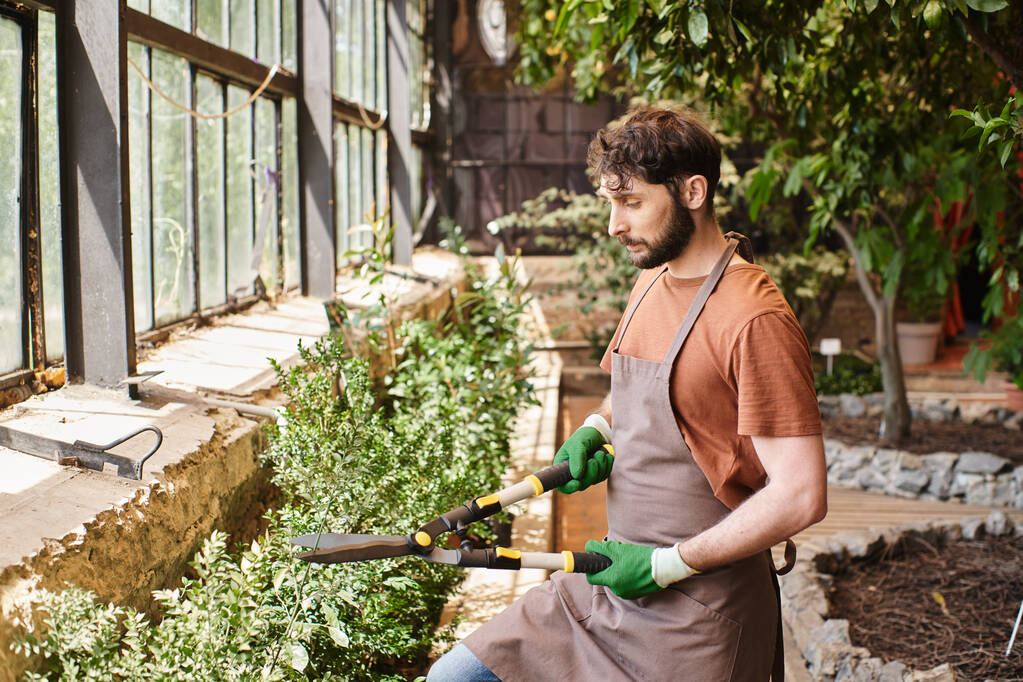bearded gardener in gloves and apron trimming green bush with big gardening scissors in greenhouse - Photo, Image