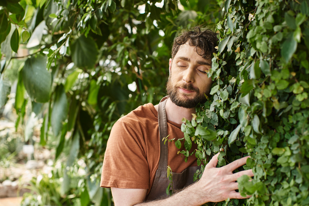 tyytyväinen parrakas puutarhuri pellava esiliina hymyilee työskennellessään kasvihuoneessa, puutarhanhoito käsite - Valokuva, kuva