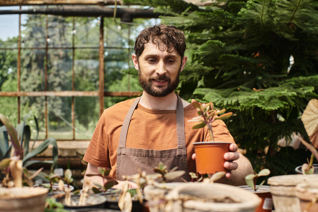 gelukkige bebaarde tuinman in linnen schort met potplant in kas, tuinbouw concept - Foto, afbeelding