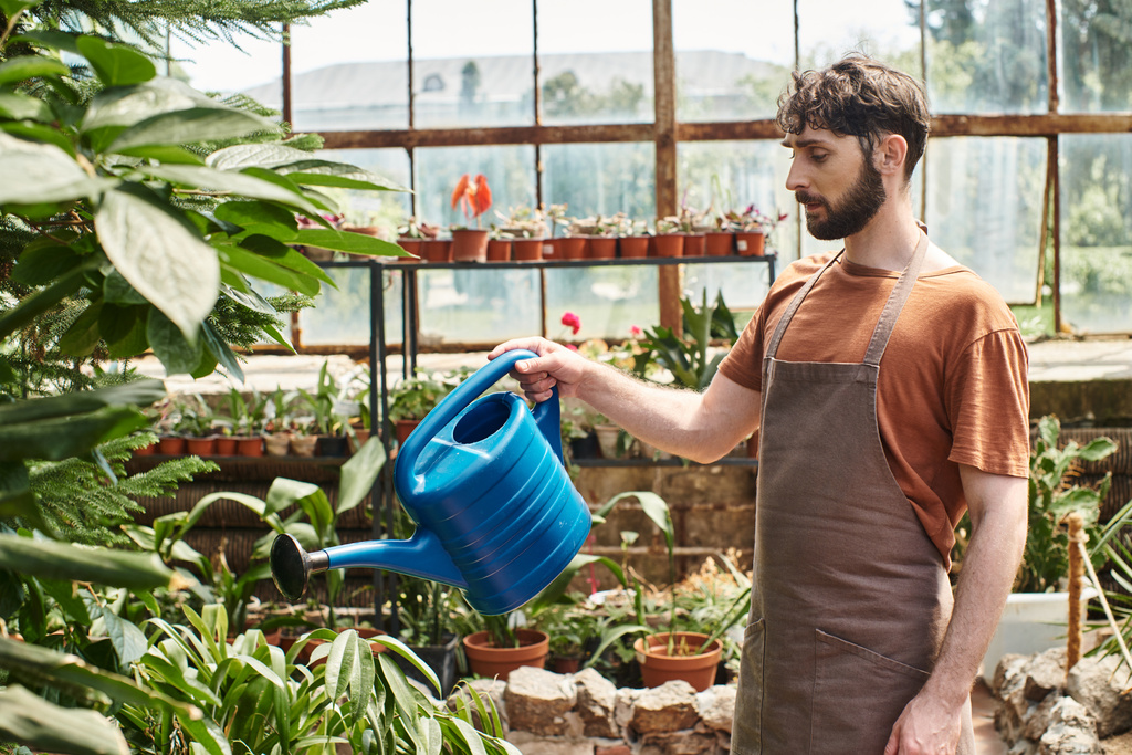 jardineiro bonito e barbudo em avental regar plantas verdes em estufa, polegar verde - Foto, Imagem
