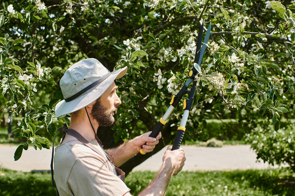 бородатый садовник в солнечной шляпе обрезает ветки дерева большими садовыми ножницами и работает на открытом воздухе - Фото, изображение