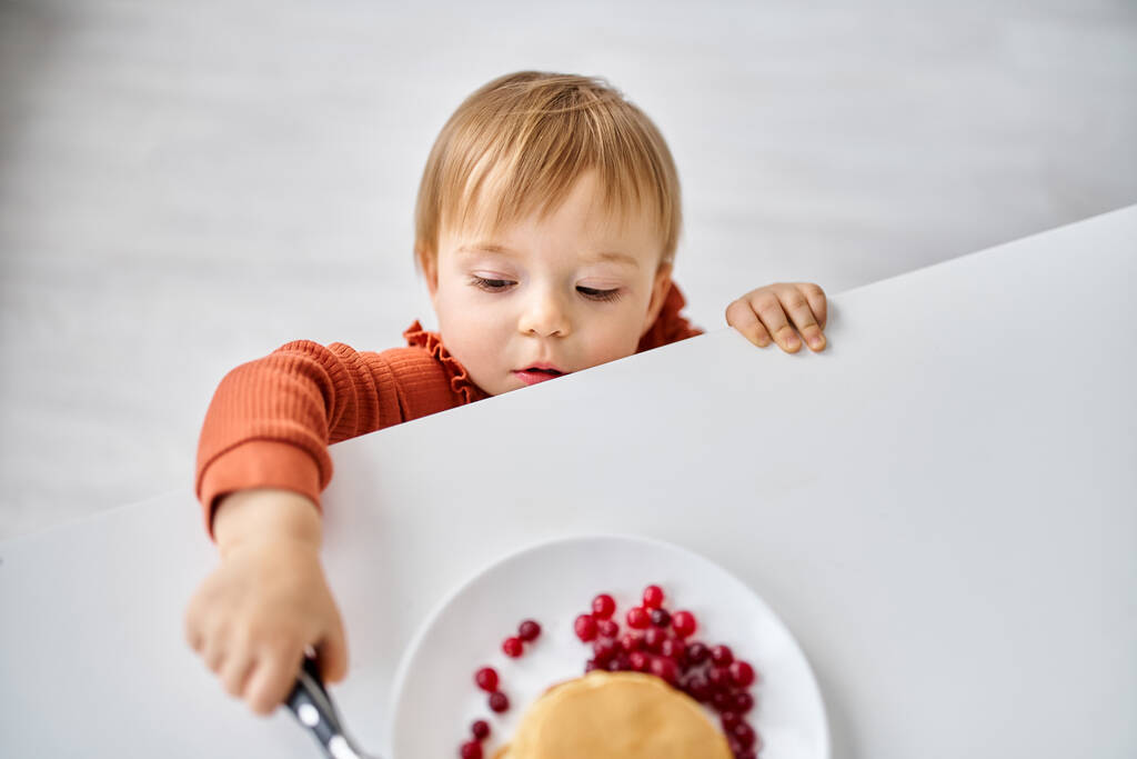 adorable toddler girl in comfy orange sweater trying to reach out some breakfast on table - Photo, Image