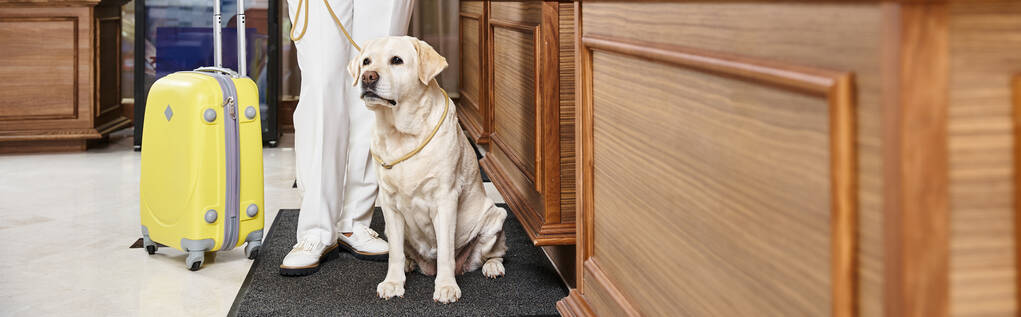 ペットフレンドリーホテルの受付でラブラドール犬や荷物の近くに立っている旅行者のクロップバナー - 写真・画像