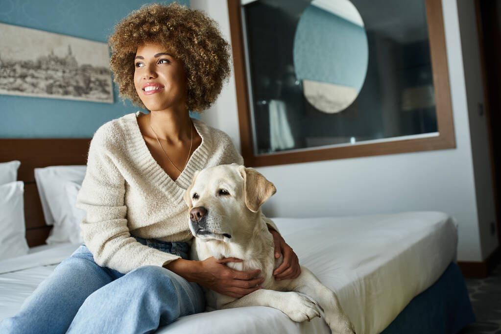 complacida mujer afroamericana sonriendo mientras acaricia labrador en habitación de hotel que acepta mascotas - Foto, Imagen