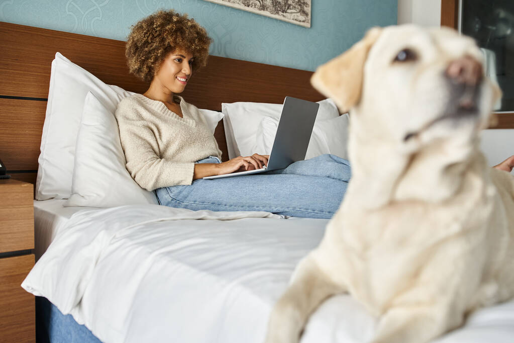 szczęśliwa młoda Afroamerykanka pracująca na laptopie ze swoim labradorem na łóżku w pokoju hotelowym - Zdjęcie, obraz