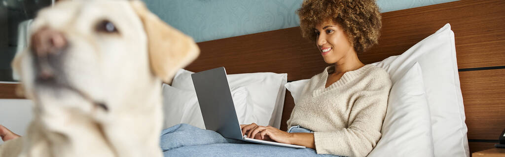 νεαρή Αφροαμερικανή που δουλεύει σε φορητό υπολογιστή με το λαμπραντόρ της στο κρεβάτι σε δωμάτιο ξενοδοχείου, πανό - Φωτογραφία, εικόνα