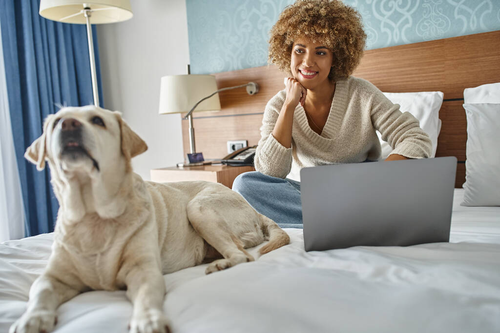 joven afroamericana positiva que trabaja en el ordenador portátil y mirando labrador en la cama en la habitación de hotel - Foto, imagen