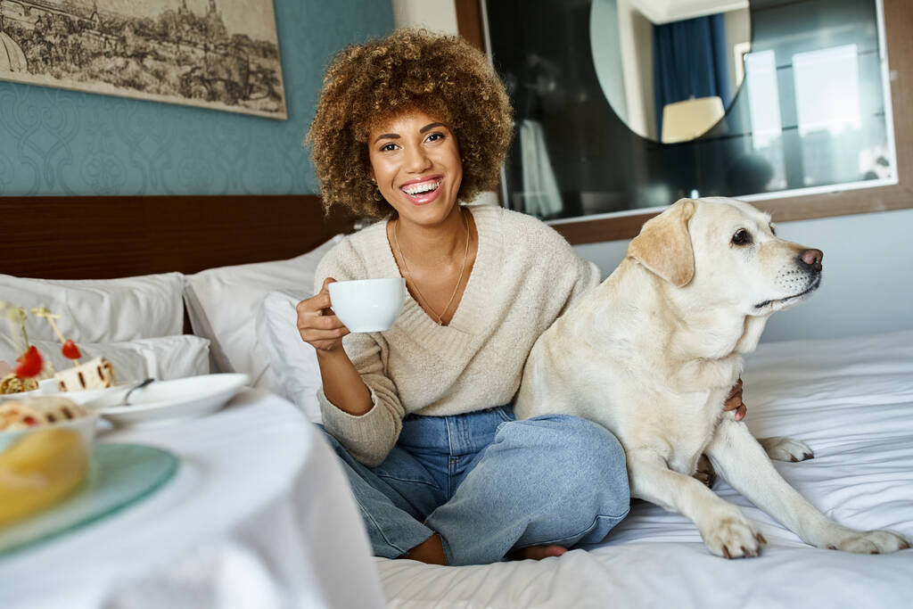 alegre africana americana mujer celebración taza y abrazo labrador perro en mascota friendly hotel habitación - Foto, imagen