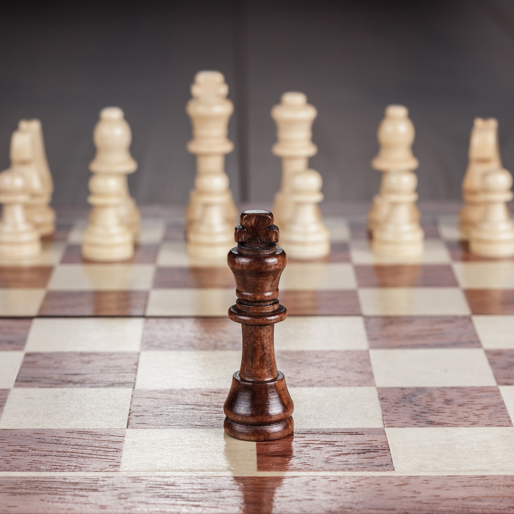 Концепция шахматного лидерства
 - Фото, изображение