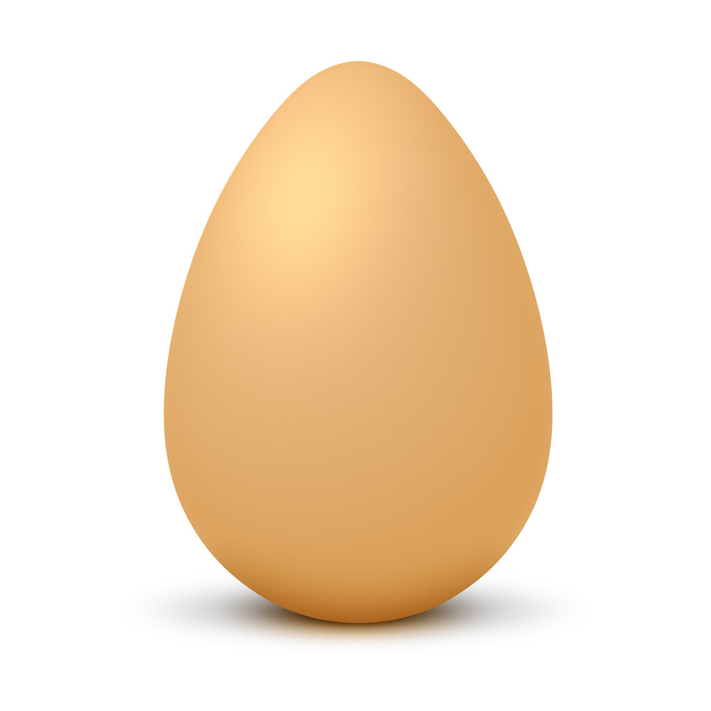 Ruskea muna
 - Valokuva, kuva