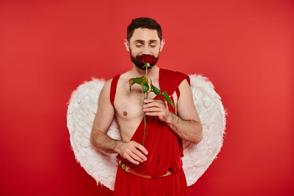 ravi homme en costume de Cupidon appréciant la saveur de rose aromatique sur le rouge, célébration de Saint-Valentin - Photo, image