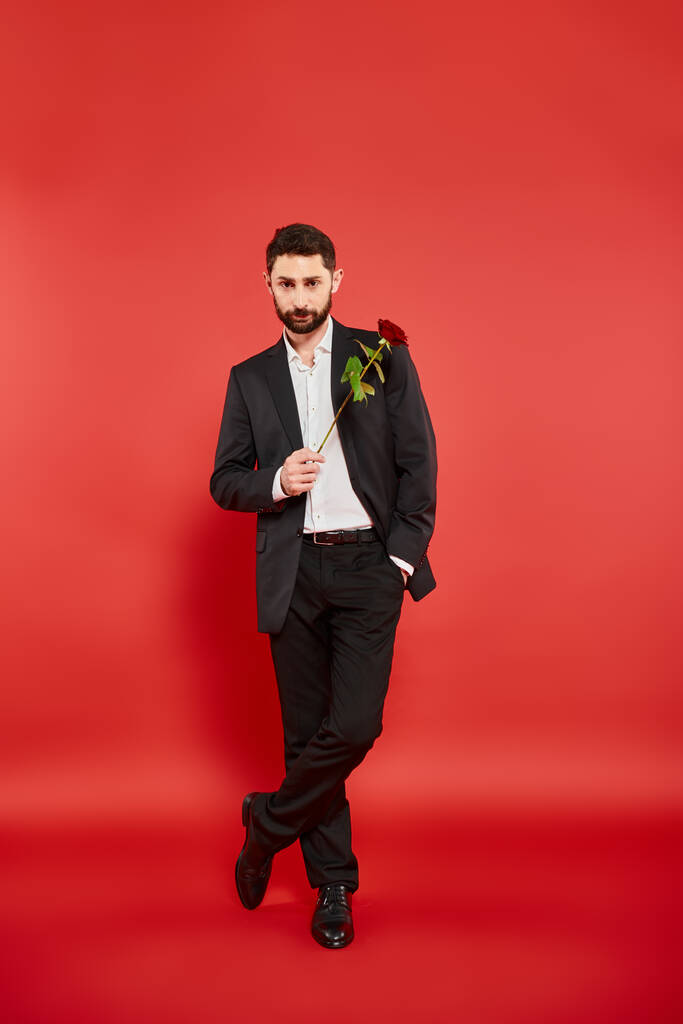 впевнений елегантний чоловік в чорному костюмі позує з червоною трояндою і рукою в кишені, День святого Валентина - Фото, зображення