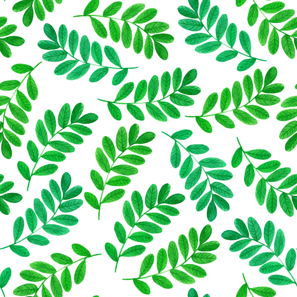 Motif floral sans couture avec des feuilles vertes et des branches sur fond blanc. Dessin aquarelle vectorisé
. - Vecteur, image