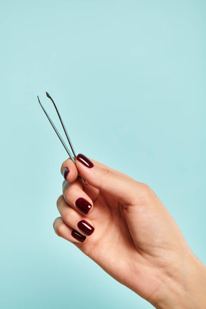 object photo of metal tweezers in hand of young unknown lady with nail polish on blue vivid backdrop - Photo, Image