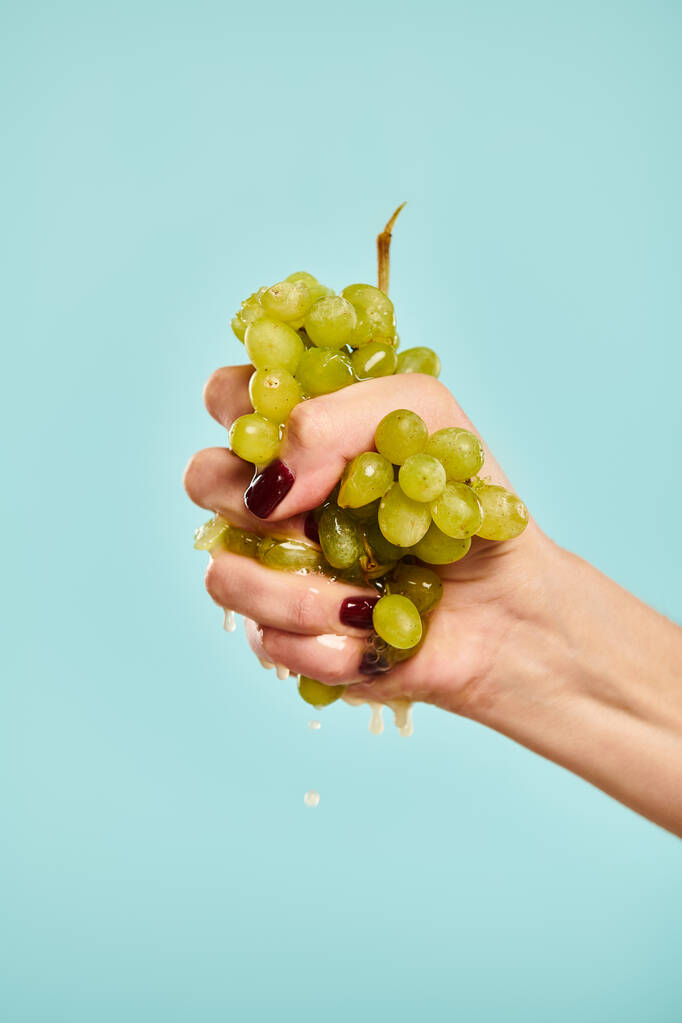 modèle féminin inconnu avec vernis à ongles serrant des raisins verts frais dans sa main sur fond bleu - Photo, image