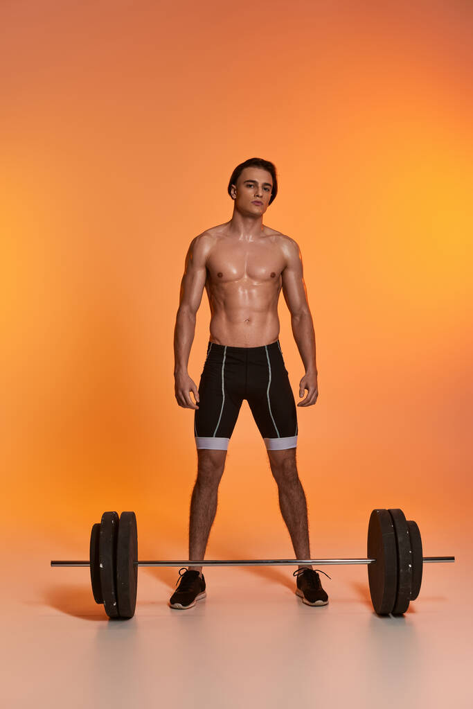 заманчивый молодой человек без рубашки в черных спортивных шортах, тренирующийся с штангой и смотрящий в камеру - Фото, изображение