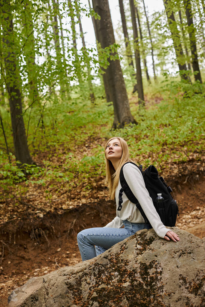 Задумчивая блондинка в тёплом свитере сидит на камне в тихом созерцании лесных пейзажей - Фото, изображение