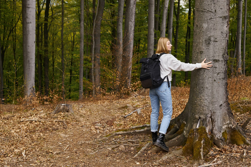 Vista posterior retrato de altura completa de mujer senderista rubia en traje cómodo en el bosque tocando un árbol - Foto, imagen