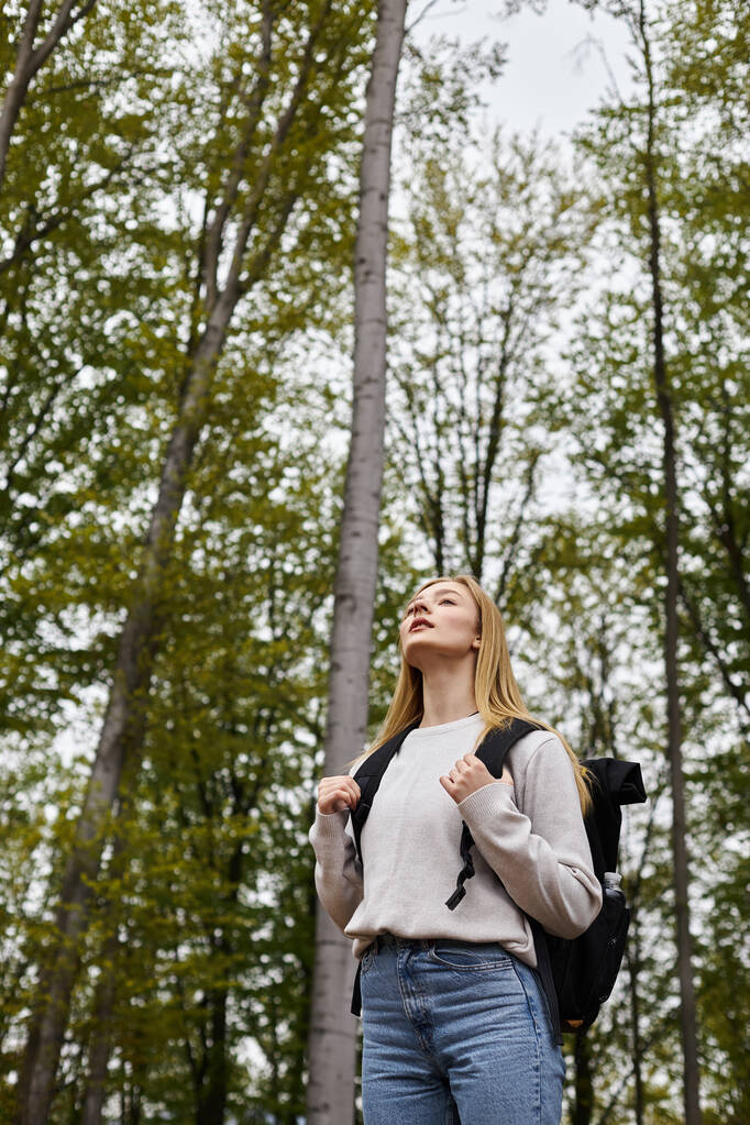 Inspirująca blondynka trekker trzymając plecak, nosząc sweter, patrząc przez las - Zdjęcie, obraz