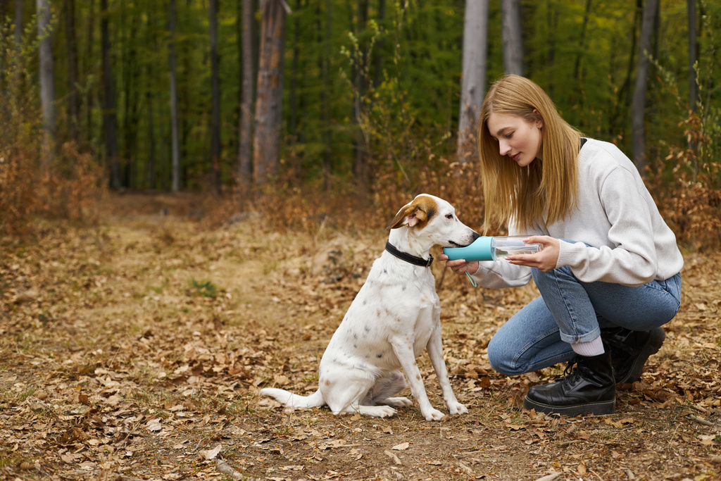 Amando a la propietaria del perro teniendo un paseo con el perro y dando agua a su mascota mientras camina en el bosque - Foto, Imagen