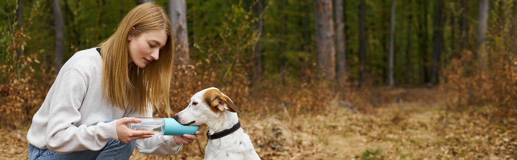 一緒にトレッキングしている間,彼女のペットに水を与え,犬と一緒に歩く森で女性の犬の所有者の旗 - 写真・画像