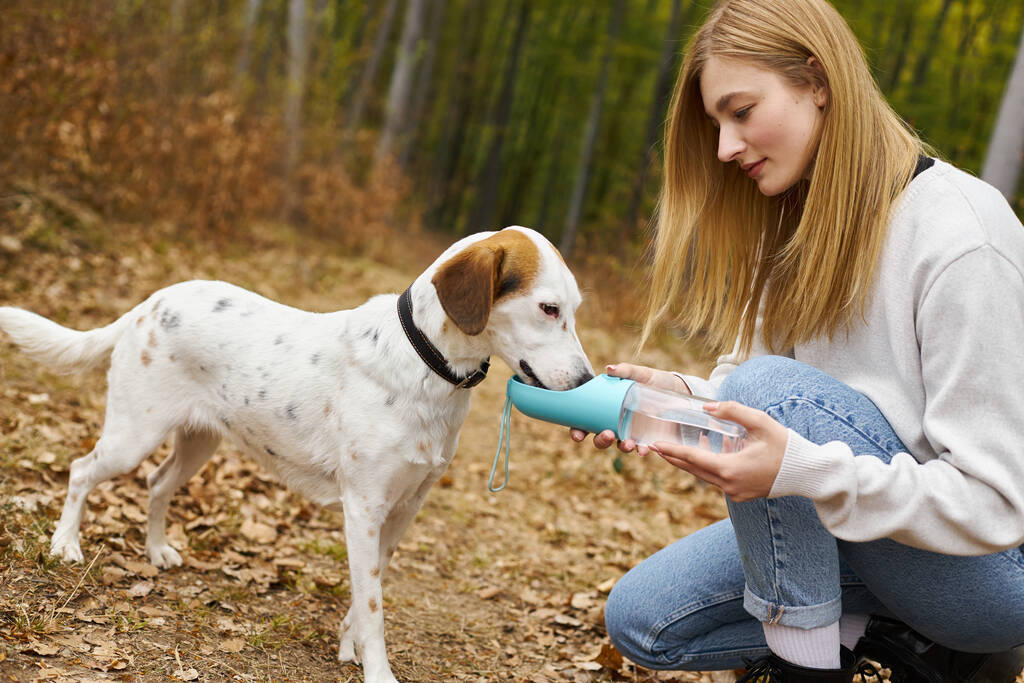 Szerető szőke nő túrázó hagyja neki hűséges kutya inni vizet palack erdő környezetben - Fotó, kép