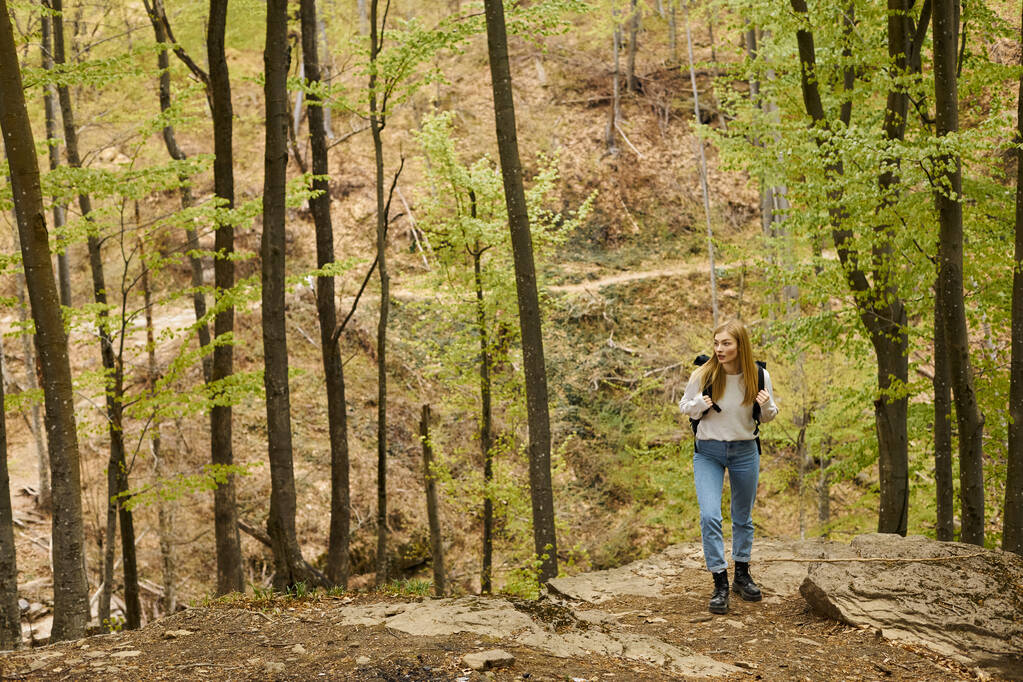femme blonde randonneur avec sac à dos marchant dans la forêt à la découverte de nouveaux chemins - Photo, image