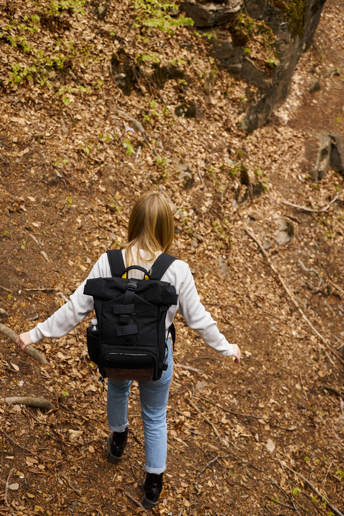 Rückenansicht einer aktiven blonden Wanderin in Pullover und Jeans, die beim Wandern den Wald durchquert - Foto, Bild