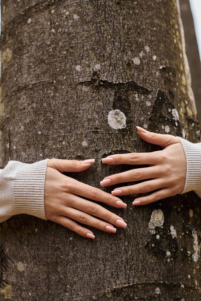 Imagem cortada de mãos femininas abraçando a árvore suavemente em uma viagem de caminhada na bela floresta, natureza - Foto, Imagem