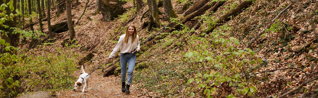 Mujer joven sonriente en suéter y jeans perro paseante con correa en el camino del bosque mientras camina, pancarta - Foto, imagen