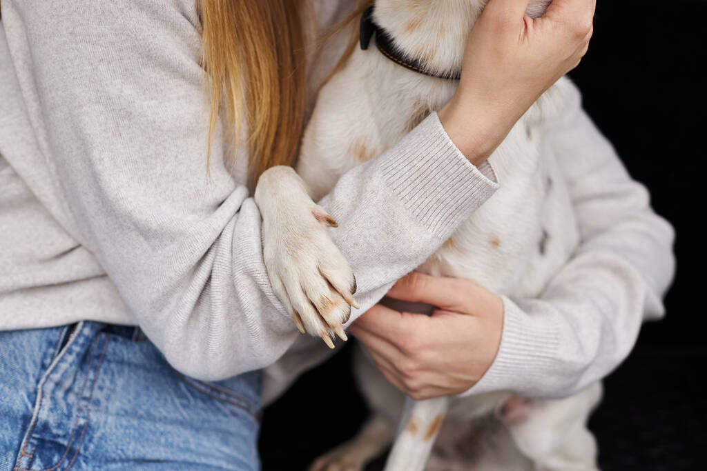 Vágott kép egy nőről, aki gyengéden átöleli a fehér kutyáját, kisállat mancsal a kezén. Kutyatárs - Fotó, kép