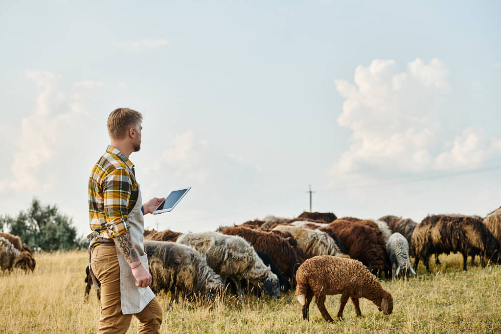 Sakallı ve dövmeli çekici bir çiftçi koyun ve kuzu sürülerini analiz etmek için tablet kullanıyor. - Fotoğraf, Görsel