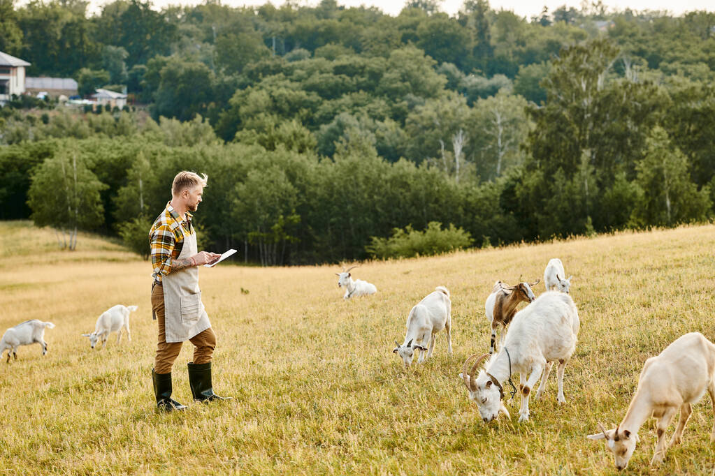 jól néz ki modern farmer szakállal és tetoválások segítségével vágódeszka, hogy elemezze a szarvasmarha kecskék - Fotó, kép