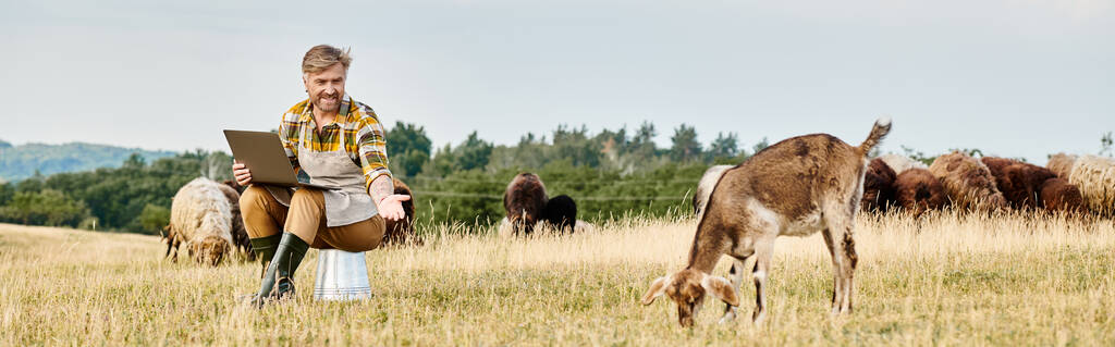 modern farmer szakállal ül laptoppal, és elemzi a szarvasmarha kecskék és juhok, banner - Fotó, kép