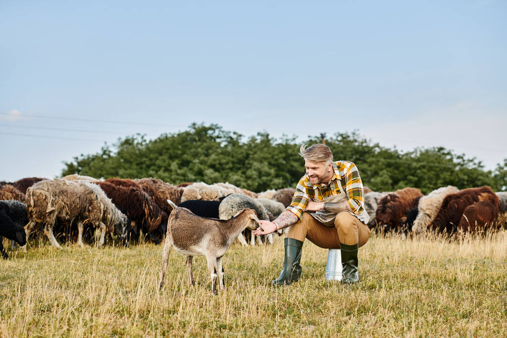 Dövmeleri olan yakışıklı, neşeli bir adam tarlada oturan ve komik keçiye uzanan, modern çiftçi. - Fotoğraf, Görsel