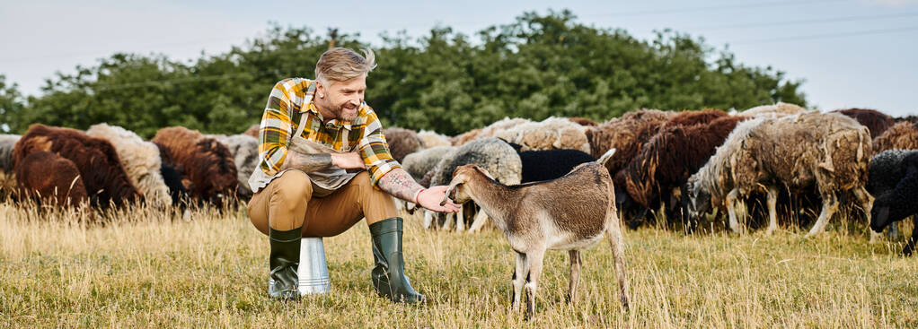 schöner lustiger Mann mit Tätowierungen sitzt und lustige süße Ziege auf dem Feld erreicht, moderner Bauer, Banner - Foto, Bild
