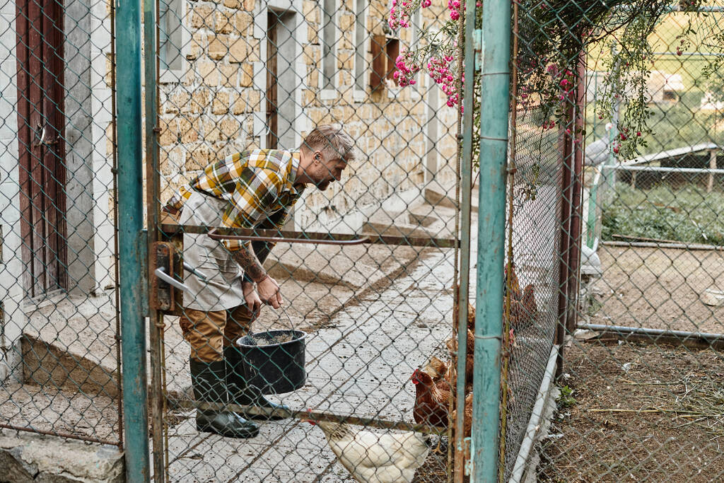 vonzó keményen dolgozó férfi tetkókkal eteti a csirkéket a madárházukban, miközben a farmján van. - Fotó, kép