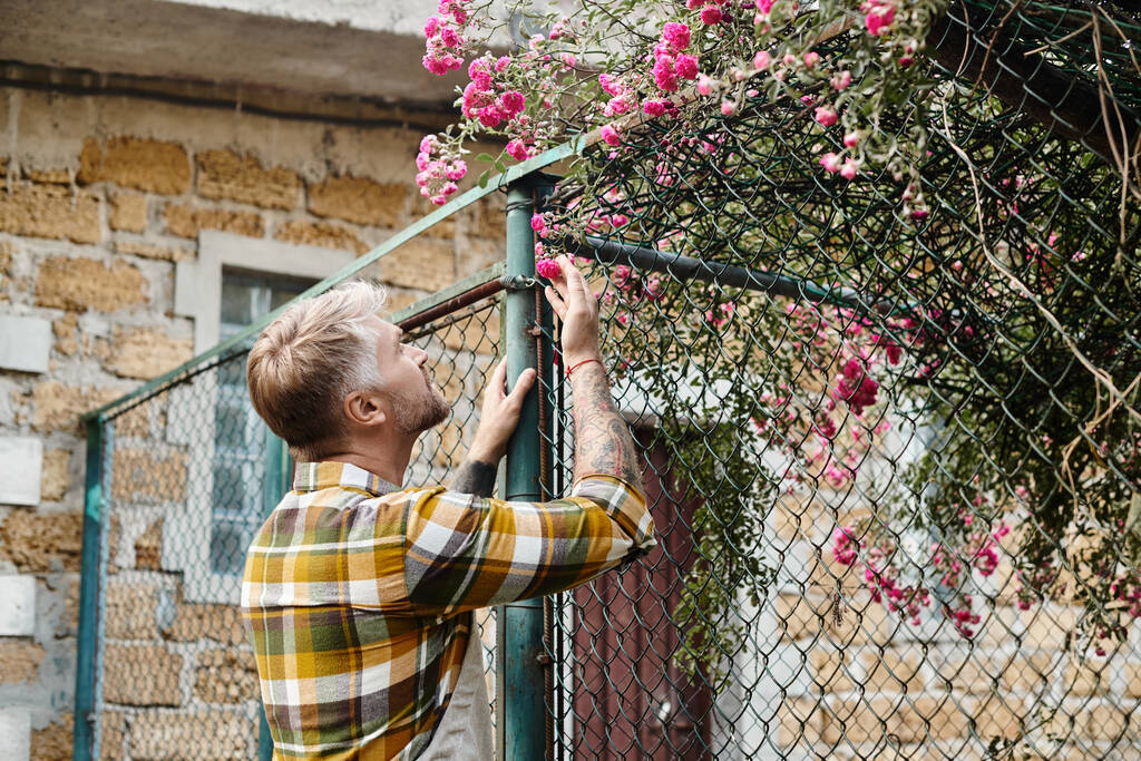 appealing dedicated man in casual attire with beard and tattoo looking at pink rosehip flowers - Photo, Image