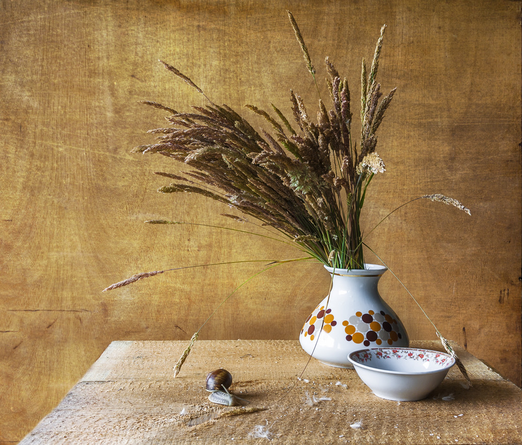 Still life with bouquet dried wild grasses worm - Photo, Image