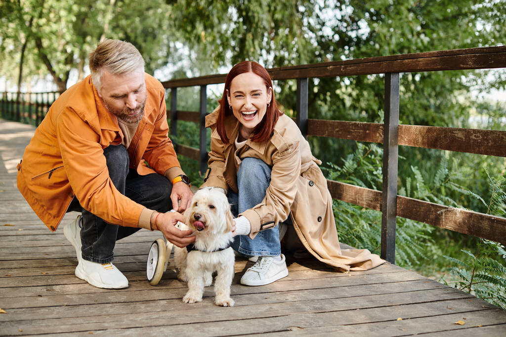 Un homme et une femme en tenue décontractée caressant un chien debout sur un pont dans un parc. - Photo, image