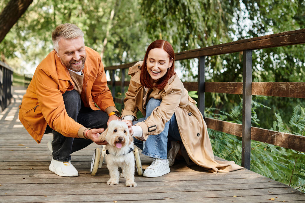 Un hombre y una mujer con atuendo casual disfrutan acariciando a un perro en un puente en un parque. - Foto, imagen