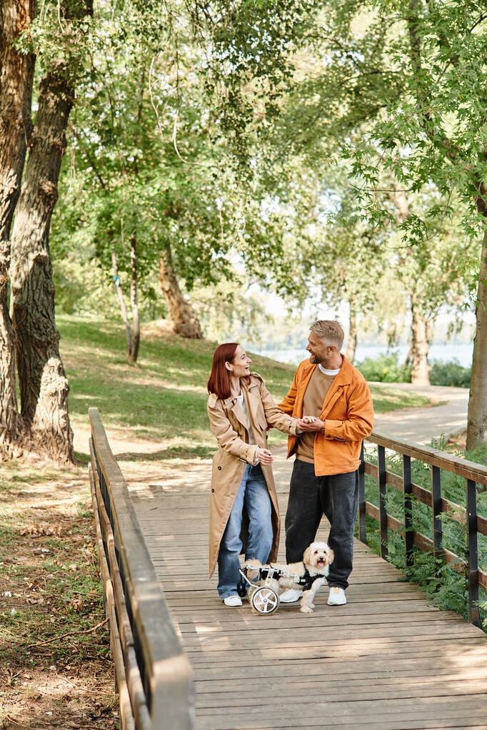 Άντρας και γυναίκα με σκυλιά απολαμβάνουν μια βόλτα σε μια γέφυρα. - Φωτογραφία, εικόνα