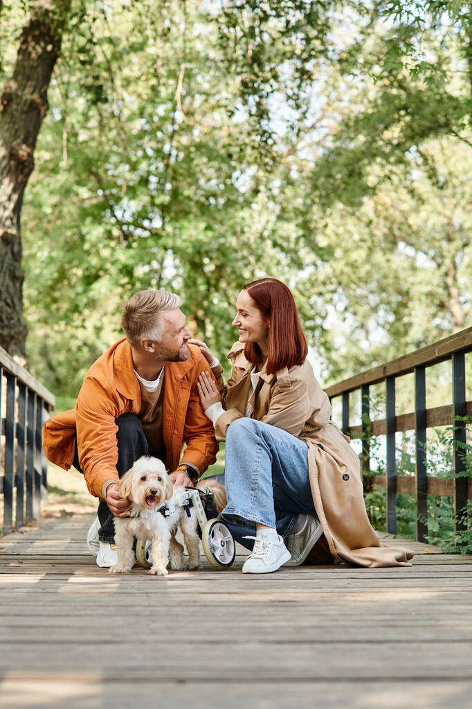 Kochająca się para relaksuje się ze swoimi psami na malowniczym moście w parku. - Zdjęcie, obraz
