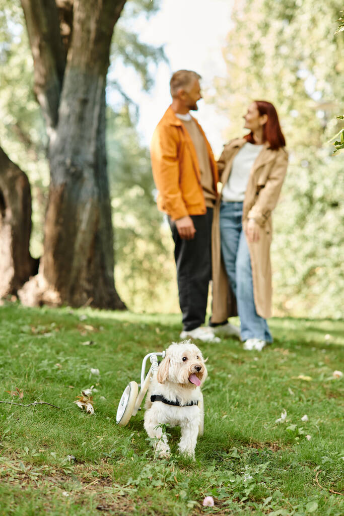 Доросла пара в повсякденному вбранні, що стоїть разом зі своїм білим собакою. - Фото, зображення