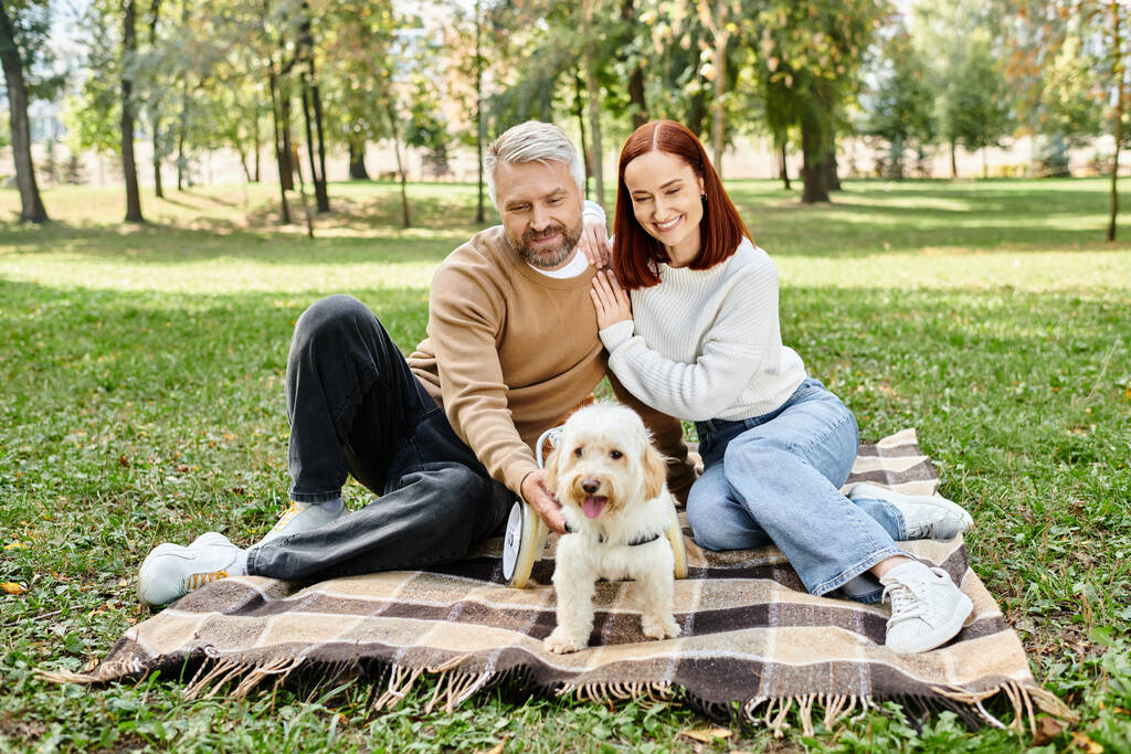 彼らの犬とカップルは公園の毛布の上にリラックス. - 写真・画像