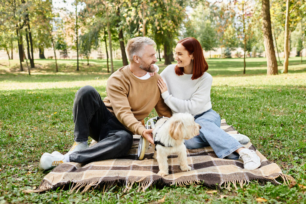 Un uomo e una donna siedono su una coperta con il loro cane. - Foto, immagini