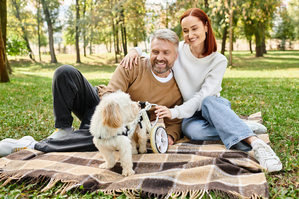 Un uomo e una donna si rilassano su una coperta con un cane in un tranquillo parco. - Foto, immagini