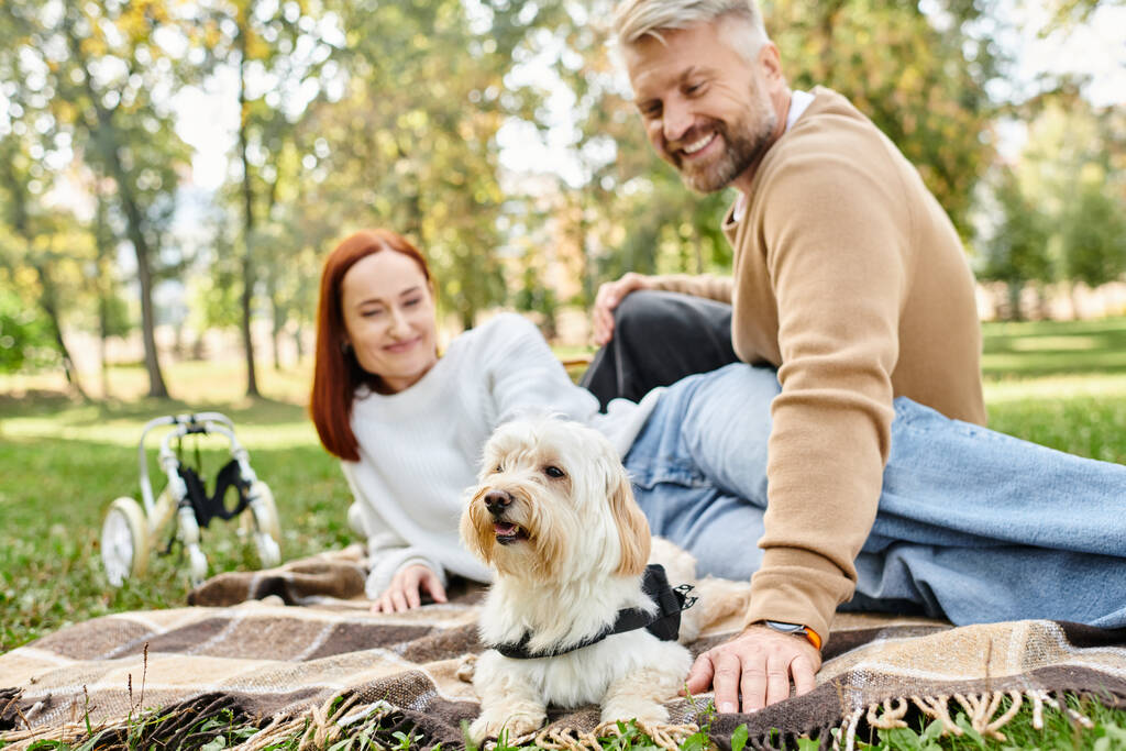 Una pareja adulta cariñosa se sienta en una manta con su perro en un hermoso entorno de parque. - Foto, Imagen
